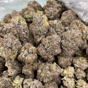 Oreoz Strain | Oreoz Weed Strain | White Oreoz Strain